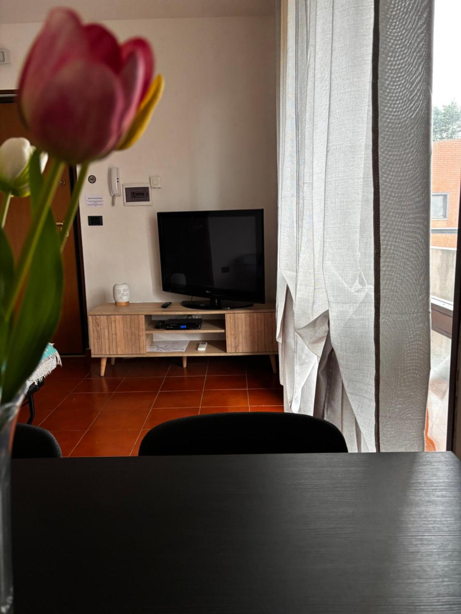 Apartament La Casa Di Jacopo A Fiumicino Maccarese Zewnętrze zdjęcie